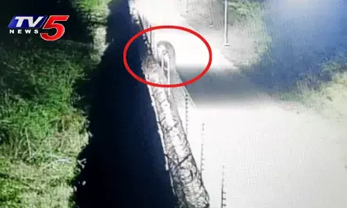 శంషాబాద్‌ ఎయిర్‌పోర్ట్‌ ప్రహరీ గోడ దూకి వెళ్తున్న చిరుత