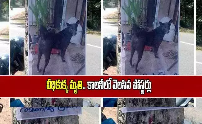 వీధి కుక్క మృతి.. విషాదంలో కాలనీవాసులు!