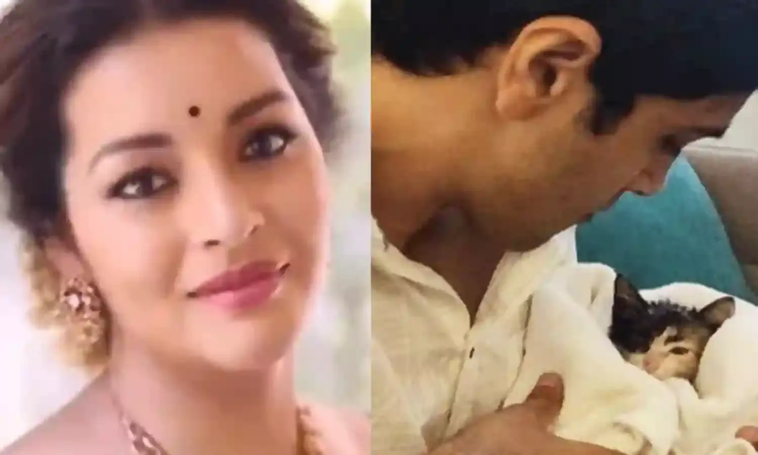 అడవి శేష్కి దొరికిన పిల్లి.. దత్తత తీసుకుంటానంటున్నరేణూ దేశాయ్.. అడవి శేష్కి దొరికిన పిల్లి.. దత్తత తీసుకుంటానంటున్నరేణూ దేశాయ్..