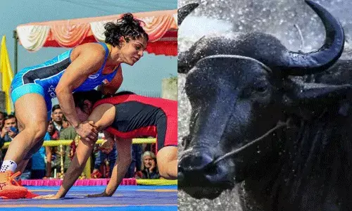 పోటీలో గెలిచిన విజేతకు వెరైటీ బహుమతి..