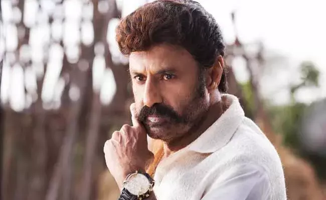 హిందూపురం ఎమ్మెల్యే, హీరో బాలకృష్ణ సంచలన వ్యాఖ్యలు హిందూపురం ఎమ్మెల్యే, హీరో బాలకృష్ణ సంచలన వ్యాఖ్యలు