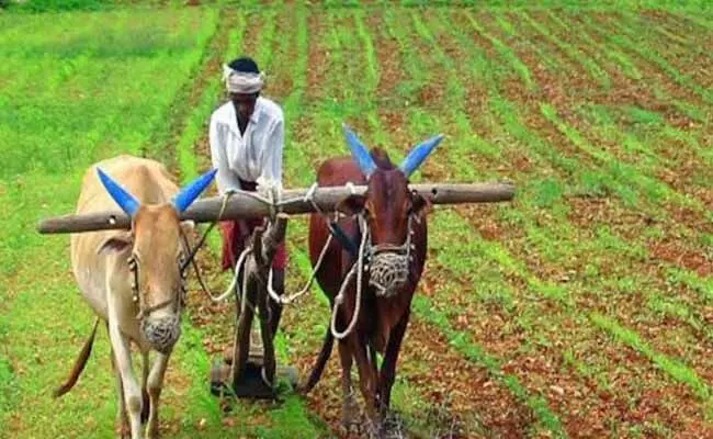 రైతులకి భారీ ఊరట.. రూ .12,110 కోట్ల వ్యవసాయ రుణం రద్దు! రైతులకి భారీ ఊరట.. రూ .12,110 కోట్ల వ్యవసాయ రుణం రద్దు!