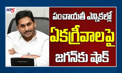 పంచాయతీ ఎన్నికల్లో 90 శాతం ఏకగ్రీవాలు జరగాలన్న జగన్కు షాక్! పంచాయతీ ఎన్నికల్లో 90 శాతం ఏకగ్రీవాలు జరగాలన్న జగన్కు షాక్!
