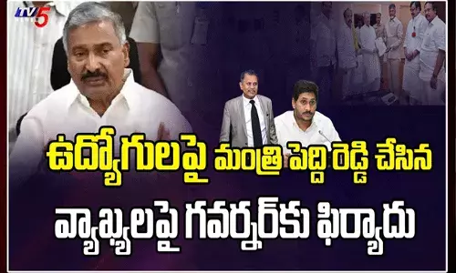 ఉద్యోగులను ఉద్దేశించి మంత్రి పెద్దిరెడ్డి చేసిన వ్యాఖ్యలపై గవర్నర్కు ఫిర్యాదు ఉద్యోగులను ఉద్దేశించి మంత్రి పెద్దిరెడ్డి చేసిన వ్యాఖ్యలపై గవర్నర్కు ఫిర్యాదు