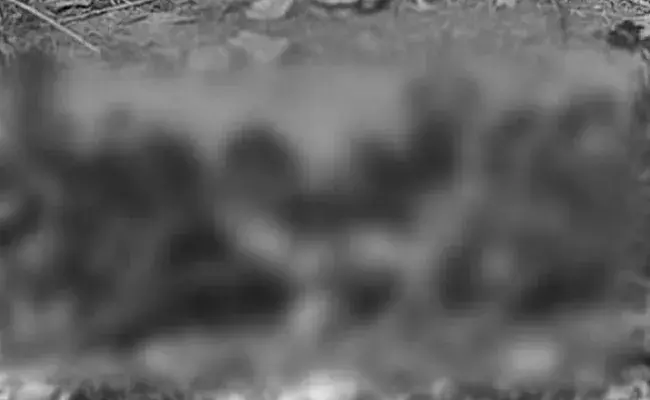 దారుణం.. వ్యక్తిని సజీవ దహనం చేసిన దుండగులు దారుణం.. వ్యక్తిని సజీవ దహనం చేసిన దుండగులు