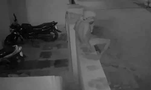 Nalgonda Psycho : సైకో హల్‌చల్‌.. తలకు రుమాలు కట్టుకుని.. ఒంటికి నూనె పూసుకుని..