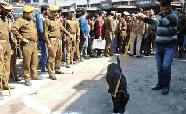 భారీ ఉగ్రదాడికి జరిగిన కుట్రను భగ్నం చేసిన జమ్మూ పోలీసులు భారీ ఉగ్రదాడికి జరిగిన కుట్రను భగ్నం చేసిన జమ్మూ పోలీసులు