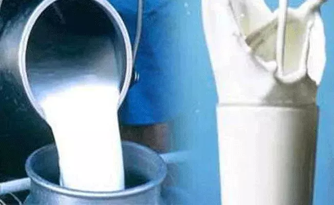 Milk Price Hike in Telugu States: పాల ధర కూడా పెంచుతారట.. పెంచుతున్న ధరలు చాల్లా.. Milk Price Hike in Telugu States: పాల ధర కూడా పెంచుతారట.. పెంచుతున్న ధరలు చాల్లా..