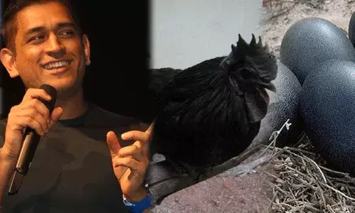 kadaknath chicken: నల్లకోడి పులుసు భలే టేస్టు బాసు.. అందుకే ధోనీ