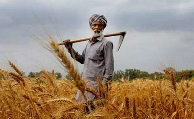 PM Kisan Credit Card: పిఎం కిసాన్ క్రెడిట్ కార్డు ఆన్లైన్లో దరఖాస్తు చేసుకునే విధానం.. PM Kisan Credit Card: పిఎం కిసాన్ క్రెడిట్ కార్డు ఆన్లైన్లో దరఖాస్తు చేసుకునే విధానం..