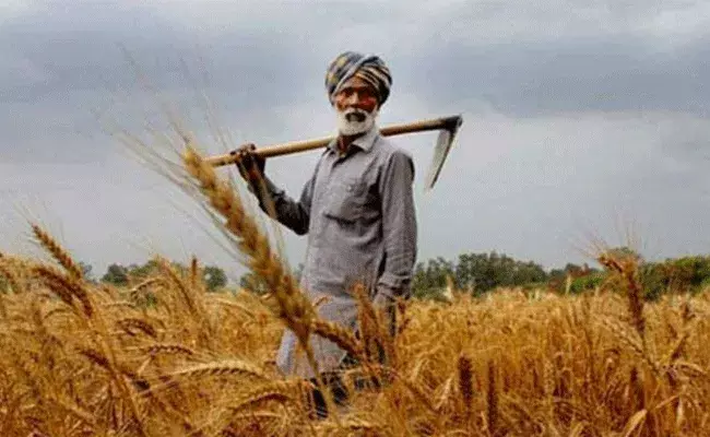 PM Kisan Credit Card: పిఎం కిసాన్ క్రెడిట్ కార్డు ఆన్‌లైన్‌లో దరఖాస్తు చేసుకునే విధానం..