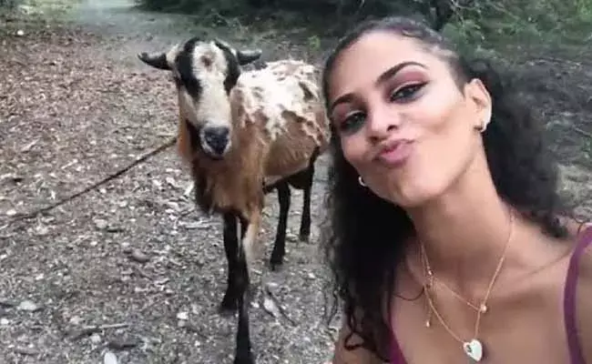 Viral Video : సెల్ఫీ కోసం ట్రై .. ఓ ఆటాడుకున్న పొట్టేలు..! Viral Video : సెల్ఫీ కోసం ట్రై .. ఓ ఆటాడుకున్న పొట్టేలు..!