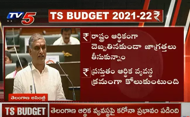 తెలంగాణ బడ్జెట్‌.. వ్యవసాయరంగానికి రూ.25 వేల కోట్లు