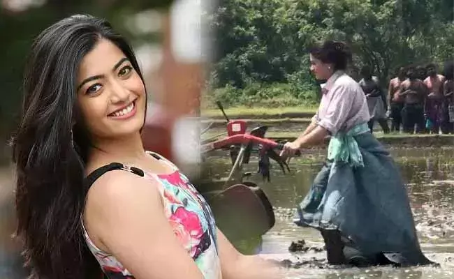 పొలం దున్నుతున్న టాప్ హీరోయిన్.. వీడియో వైరల్..! పొలం దున్నుతున్న టాప్ హీరోయిన్.. వీడియో వైరల్..!