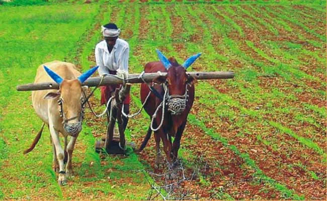 అప్పట్నుంచి రైతుల ఖాతాల్లోకి రూ.2,000 అప్పట్నుంచి రైతుల ఖాతాల్లోకి రూ.2,000