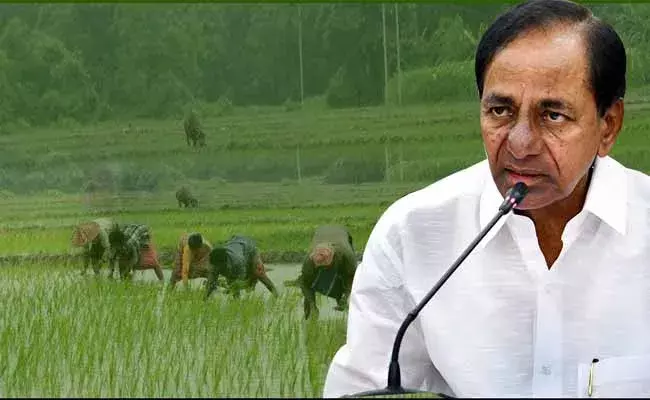 రైతులకి సీఎం కేసీఆర్ గుడ్ న్యూస్..! రైతులకి సీఎం కేసీఆర్ గుడ్ న్యూస్..!