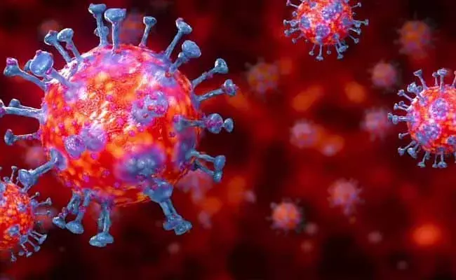 ఏపీలో కరోనా విలయతాండవం.. ఒక్కరోజే 1,184 కేసులు ఏపీలో కరోనా విలయతాండవం.. ఒక్కరోజే 1,184 కేసులు