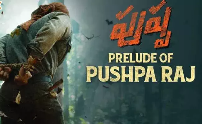 Allu Arjun Pushpa : అల్లు అర్జున్ పుష్ప సప్‌‌‌రైజ్ వచ్చేసింది..!