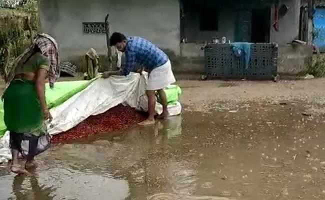 రైతులకు అపార నష్టాన్ని మిగిల్చిన అకాల వర్షాలు..! రైతులకు అపార నష్టాన్ని మిగిల్చిన అకాల వర్షాలు..!