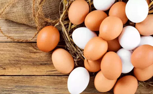 ఏ గుడ్డు వెరీ గుడ్డు.. వైటా.. బ్రౌనా..