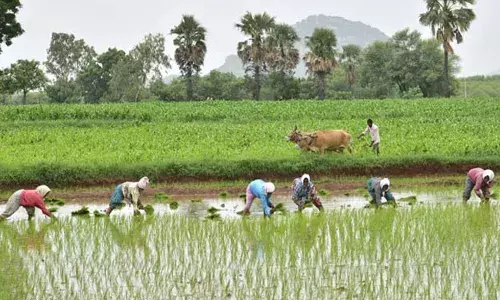 PM Kisan Samman Nidhi: నేడే రైతుల ఖాతాల్లోకి రూ.2వేలు..! PM Kisan Samman Nidhi: నేడే రైతుల ఖాతాల్లోకి రూ.2వేలు..!