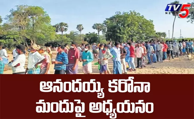 Krishnapatnam :ఆనందయ్య కరోనా మందుపై అధ్యయనం..! Krishnapatnam :ఆనందయ్య కరోనా మందుపై అధ్యయనం..!
