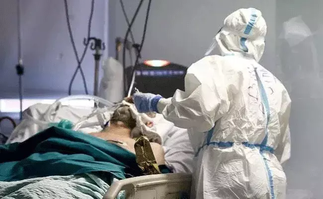 Covid Infect Digestive Organs: కరోనాతో ఊపిరితిత్తులకే కాదు ప్రేగులకూ ముప్పే ..