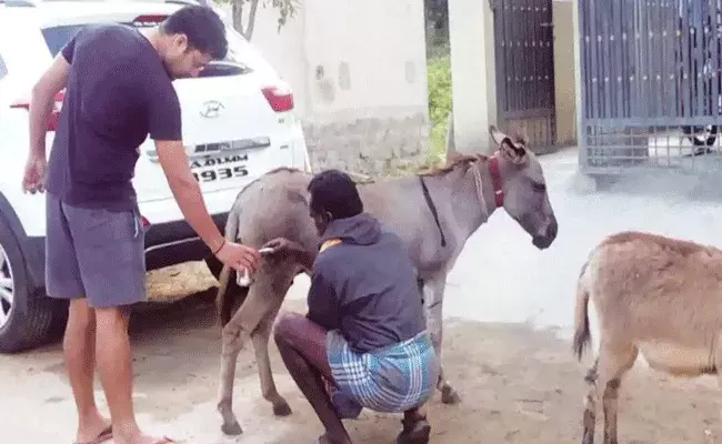 వేమన పద్యం తూచ్.. గరిటెడైనను చాలు గాడిద పాలు.. వేమన పద్యం తూచ్.. గరిటెడైనను చాలు గాడిద పాలు..