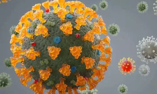 Delta Plus Variant: ఏపీలో తొలి డెల్టాప్లస్ కేసు నిర్ధారణ..!