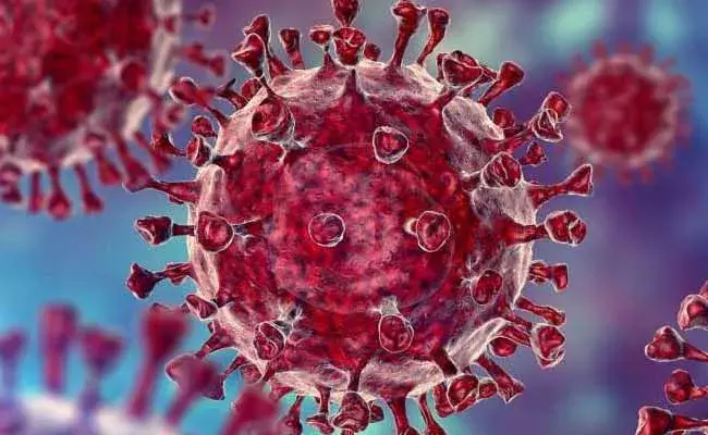 విజయనగరం జిల్లాలో తొలి డెల్టా ప్లస్ కేసు..!