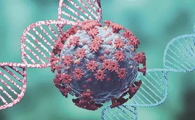 యూపీలో కొత్తరకం కరోనా కలకలం.. ఒకరు మృతి..! యూపీలో కొత్తరకం కరోనా కలకలం.. ఒకరు మృతి..!