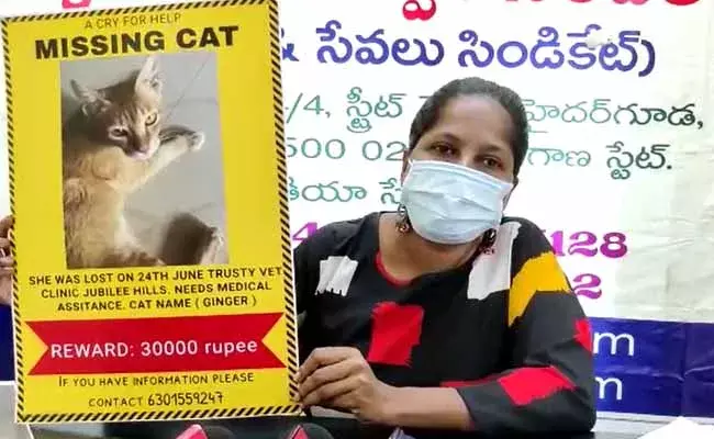 పిల్లి తప్పిపోయింది.. రివార్డు ప్రకటించిన మహిళ..!