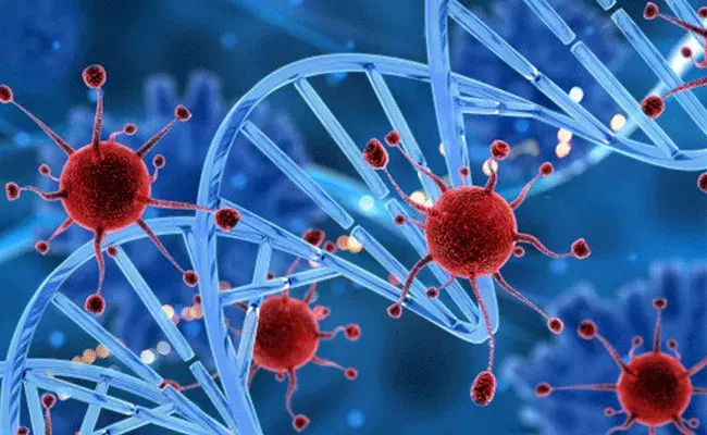 Corona Update: దేశంలో కొత్త కేసులు, మరణాలు.. కోవిడ్ మరింత ప్రమాదకరంగా డబ్ల్యూహెచ్ఓ హెచ్చరికలు.. Corona Update: దేశంలో కొత్త కేసులు, మరణాలు.. కోవిడ్ మరింత ప్రమాదకరంగా డబ్ల్యూహెచ్ఓ హెచ్చరికలు..