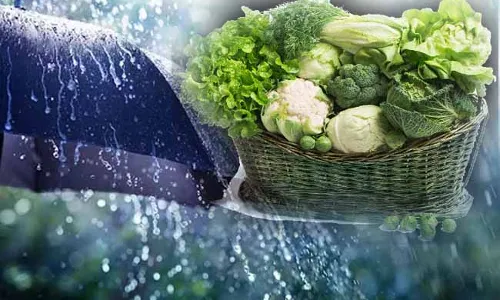 Green leafy vegetables dont eat monsoon seasion Green leafy vegetables dont eat monsoon seasion