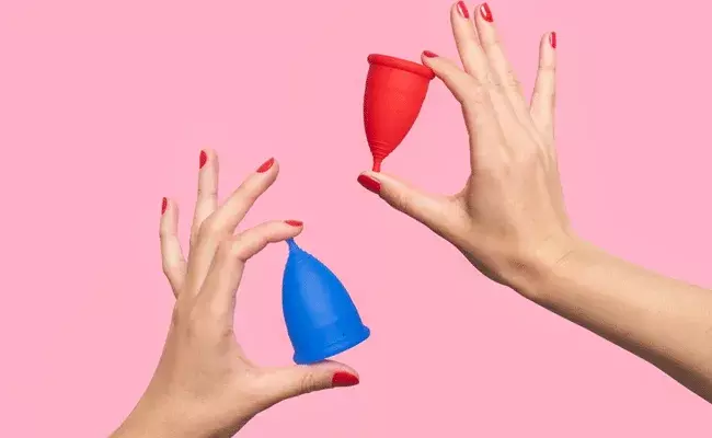 పీరియడ్స్లో సౌకర్యవంతం మెన్స్ట్రువల్ కప్స్.. వీటి గురించి వివరంగా.. పీరియడ్స్లో సౌకర్యవంతం మెన్స్ట్రువల్ కప్స్.. వీటి గురించి వివరంగా..