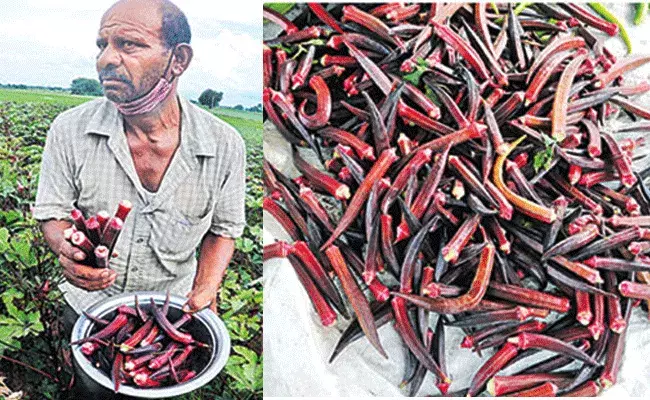 రంగు మారింది.. రుచి ఎలా ఉంటుంది!!