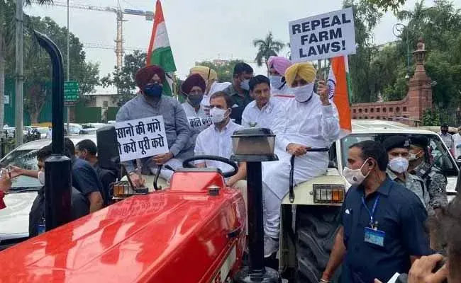 Rahul Gandhi : ట్రాక్టర్‌పై పార్లమెంట్‌కు వచ్చిన రాహుల్‌ గాంధీ..!