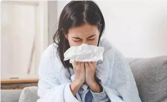 ఎప్పుడూ జలుబు చేసినట్లు అనిపిస్తుందా..? అయితే ఈ సమస్యలు కూడా కావొచ్చు