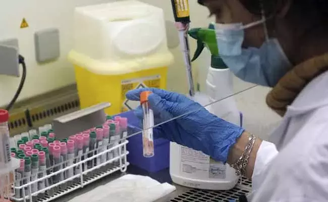 AP Corona cases : ఏపీలో కొత్తగా 2,209 కేసులు.. 22 మరణాలు AP Corona cases : ఏపీలో కొత్తగా 2,209 కేసులు.. 22 మరణాలు