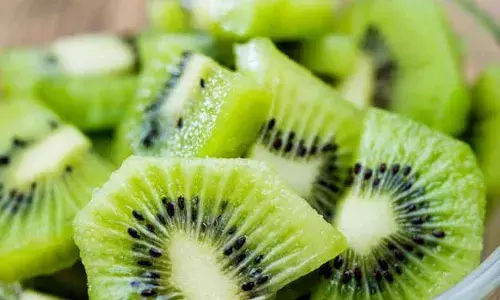 Kiwi fruit : ఒక్క కివీ ఫ్రూట్ చాలు.. లాభాలెన్నో..! Kiwi fruit : ఒక్క కివీ ఫ్రూట్ చాలు.. లాభాలెన్నో..!