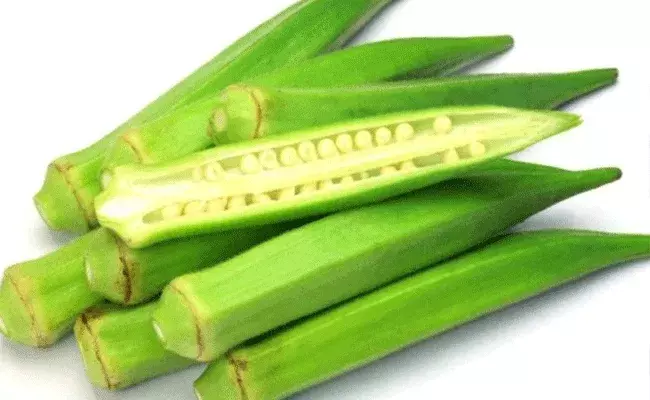 బెండకాయలో ఆరోగ్య ప్రయోజనాలు.. ఔషధ గుణాలు..