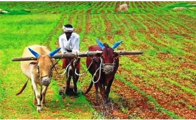 రైతులకు శుభవార్త చెప్పిన తెలంగాణ సర్కార్.. ఖాతాల్లోకి డబ్బులు రైతులకు శుభవార్త చెప్పిన తెలంగాణ సర్కార్.. ఖాతాల్లోకి డబ్బులు