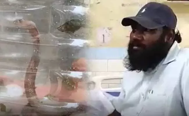 కరిచిన పాముతో ఆసుపత్రికి.. గుంటూరులో యువకుడు హల్‌చల్‌..!