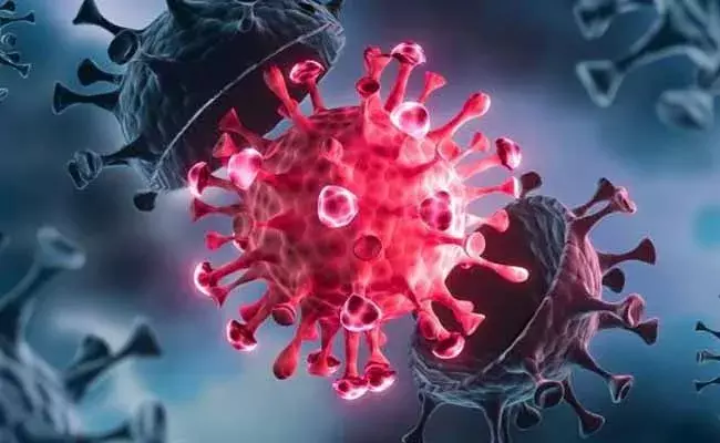 AP Corona Cases: కొత్తగా 1,248 కేసులు.. 15 మంది మృతి AP Corona Cases: కొత్తగా 1,248 కేసులు.. 15 మంది మృతి