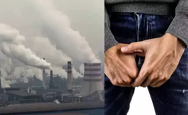 మరో అనర్థానికి కారణమవుతున్న చైనా.. మగవారి అంగం సైజు తగ్గుతోందట..! మరో అనర్థానికి కారణమవుతున్న చైనా.. మగవారి అంగం సైజు తగ్గుతోందట..!