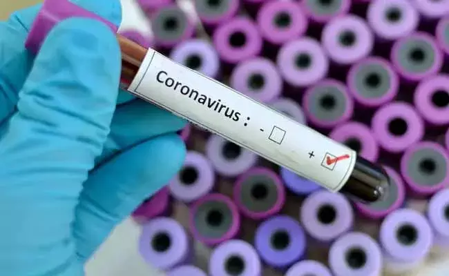 TS Corona Cases: కొత్తగా 339 కరోనా కేసులు