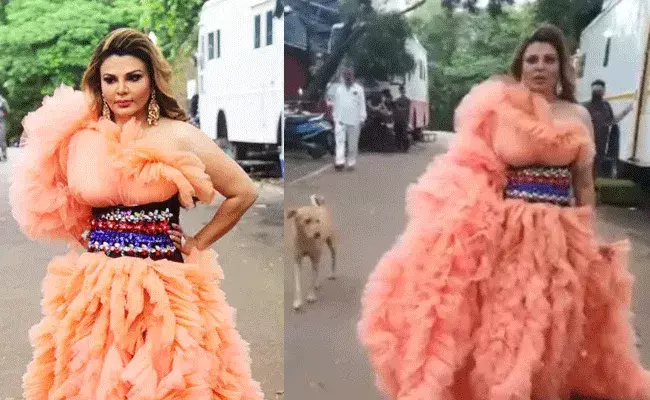 Rakhi Sawant: వీధి కుక్కలకు పిచ్చెక్కించిన బిగ్ బాస్ బ్యూటీ డ్రెస్.. వీడియో వైరల్ Rakhi Sawant: వీధి కుక్కలకు పిచ్చెక్కించిన బిగ్ బాస్ బ్యూటీ డ్రెస్.. వీడియో వైరల్