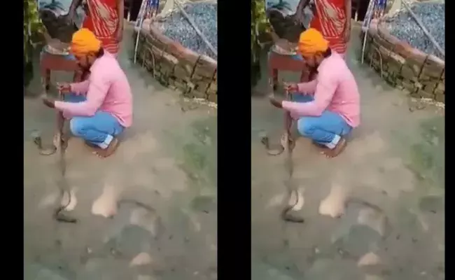 Viral Video: పాములకు రాఖీ కట్టించబోయి.. అంతలోనే..! Viral Video: పాములకు రాఖీ కట్టించబోయి.. అంతలోనే..!