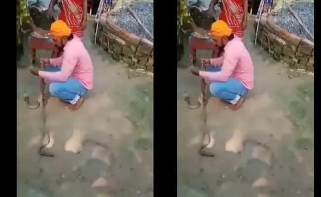 Viral Video: పాములకు రాఖీ కట్టించబోయి.. అంతలోనే..! Viral Video: పాములకు రాఖీ కట్టించబోయి.. అంతలోనే..!