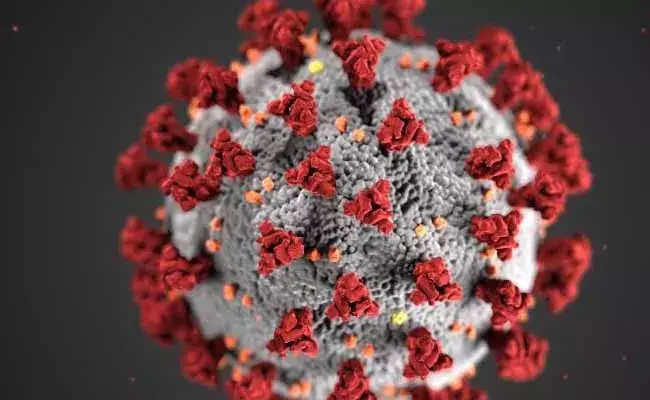 Ts Corona Cases:  కొత్తగా 357 కరోనా కేసులు